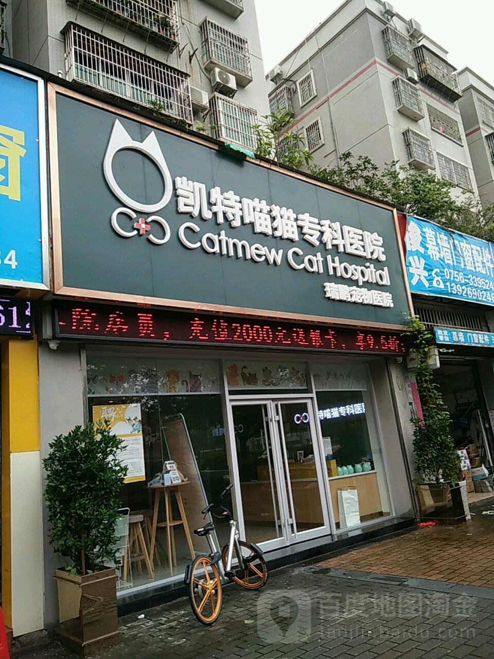 凯特喵猫专科医院(人民西路店)