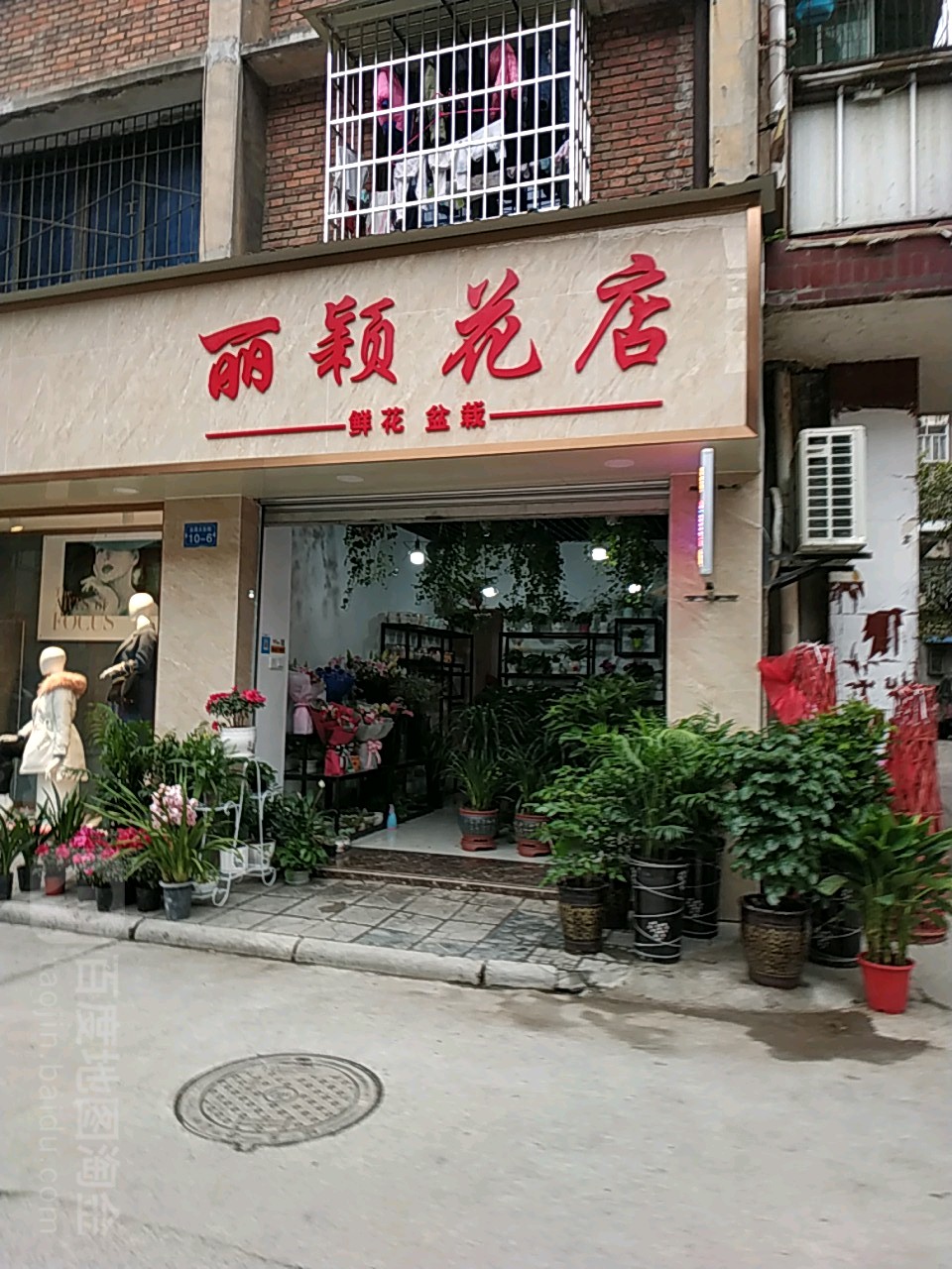 丽颖花店