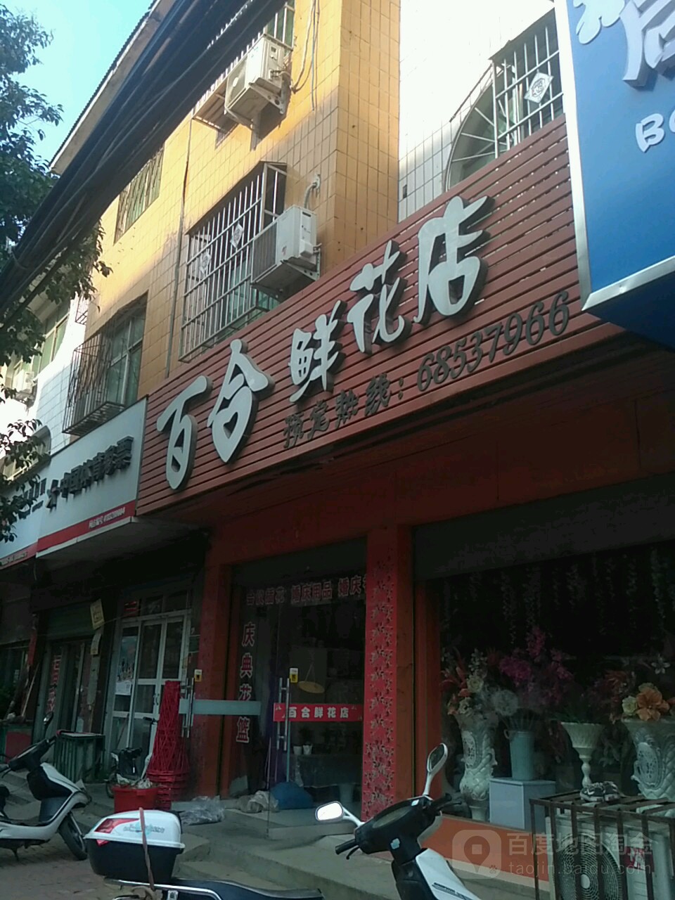 百合鲜花店(新华路店)