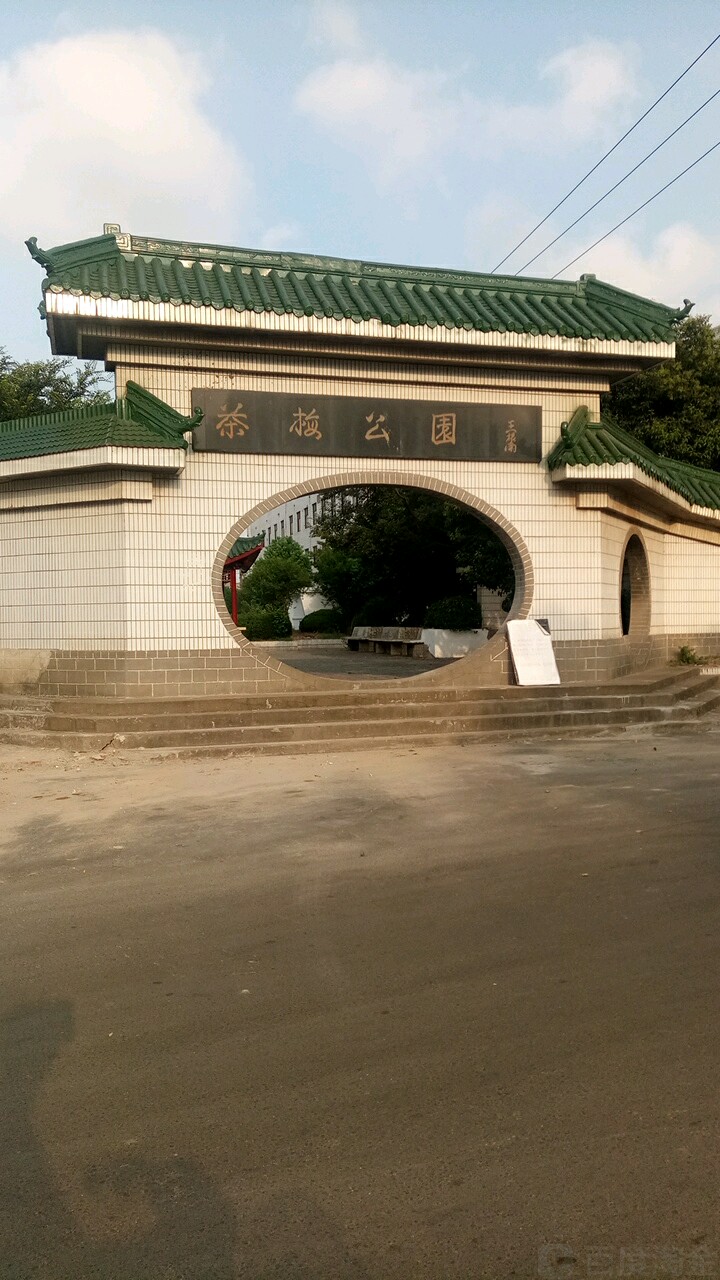 茶梅公园