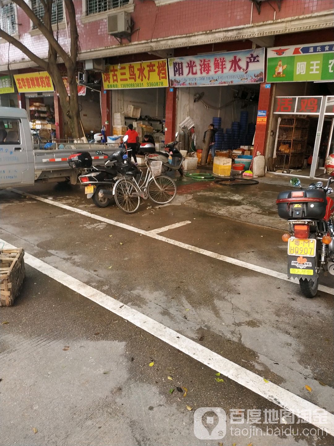 涛古三鸟睡产档