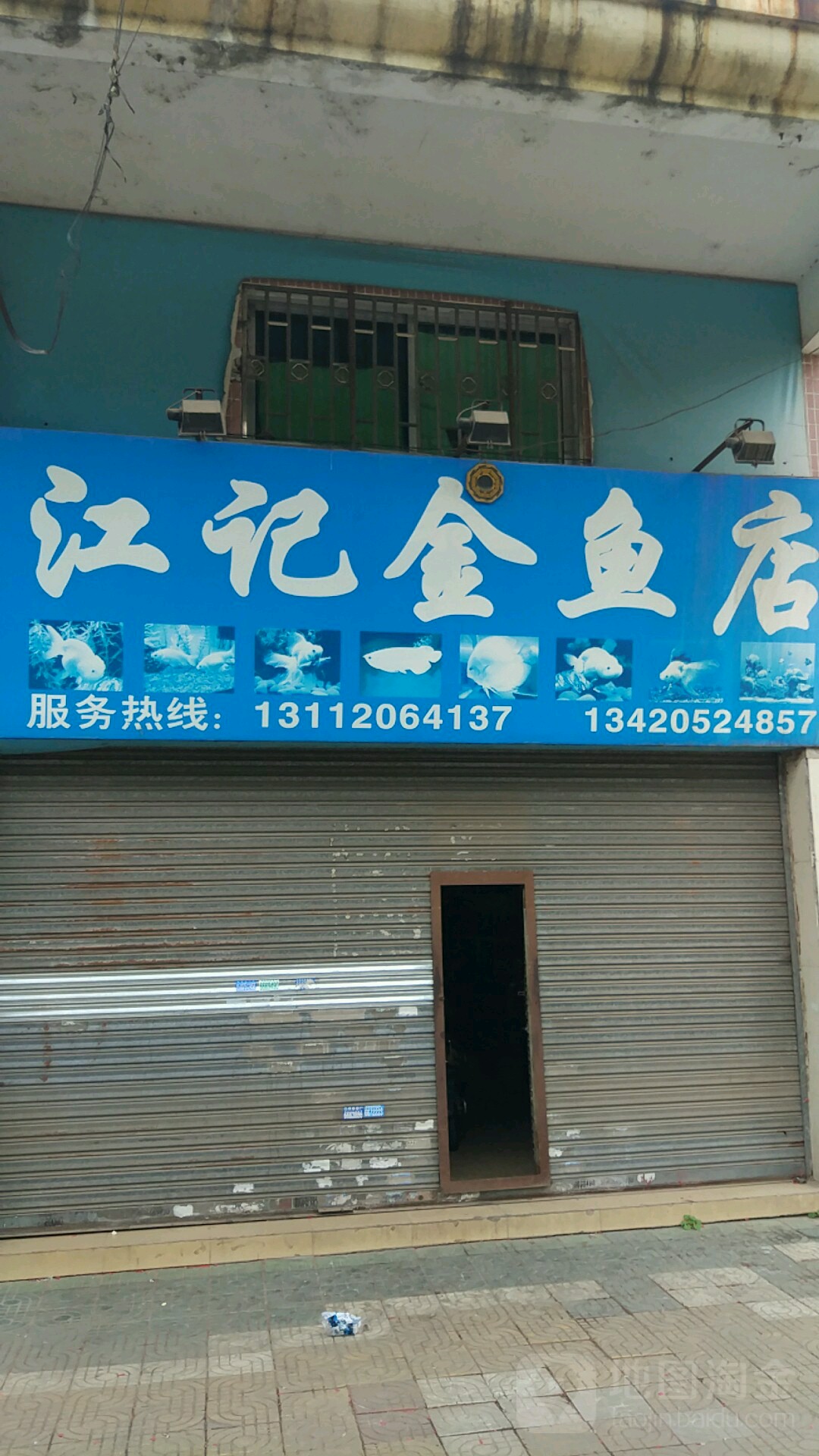 江畔金鱼店