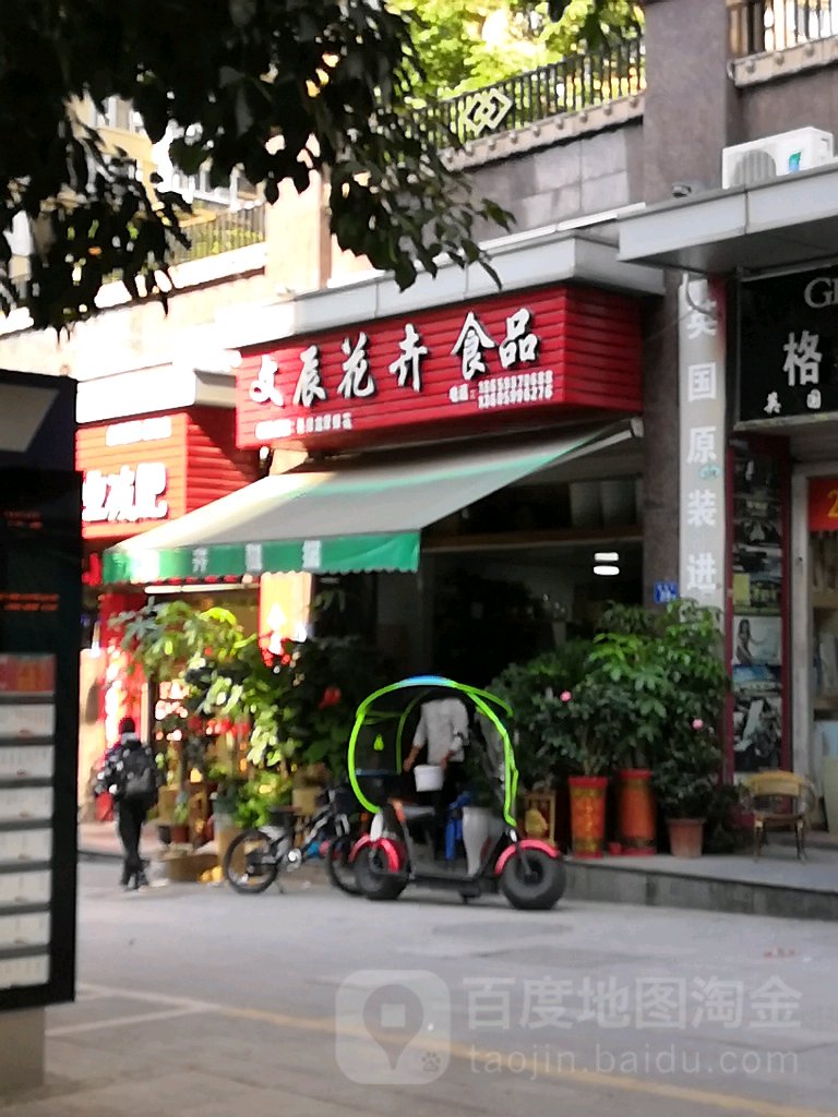文辰花卉食品