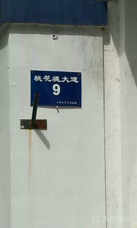 桃花堤大道9号