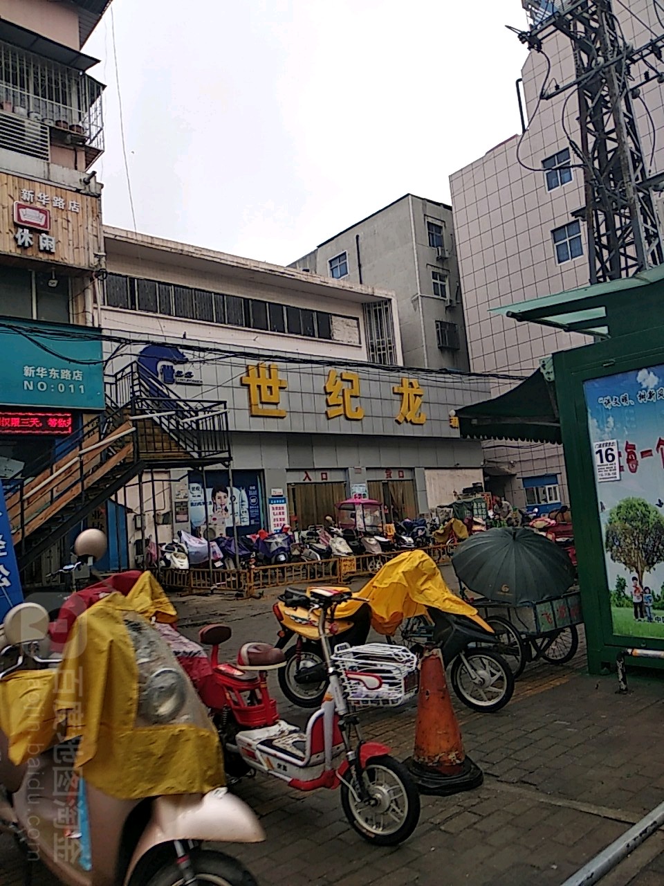 世纪龙(新华店)