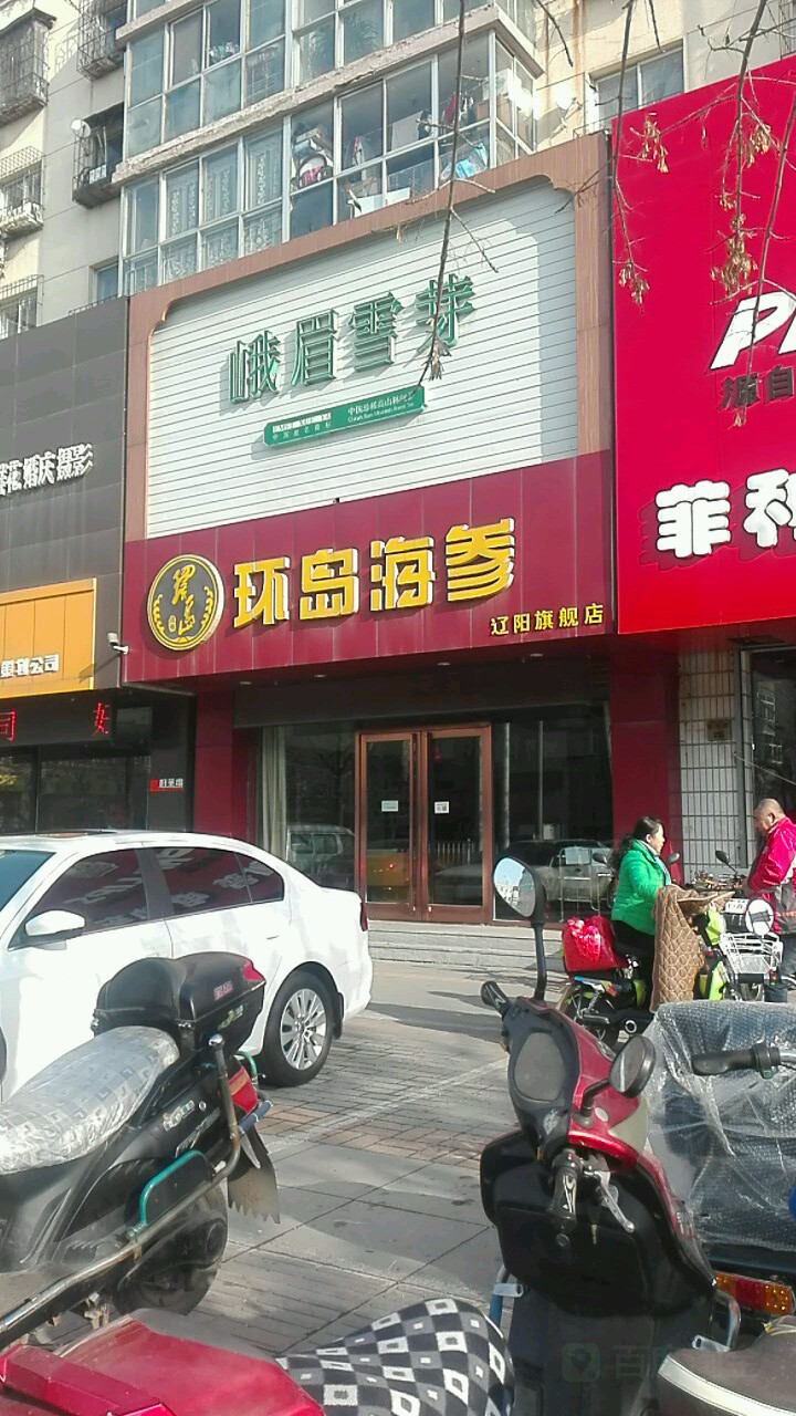 峨眉雪芽(辽阳旗舰店)