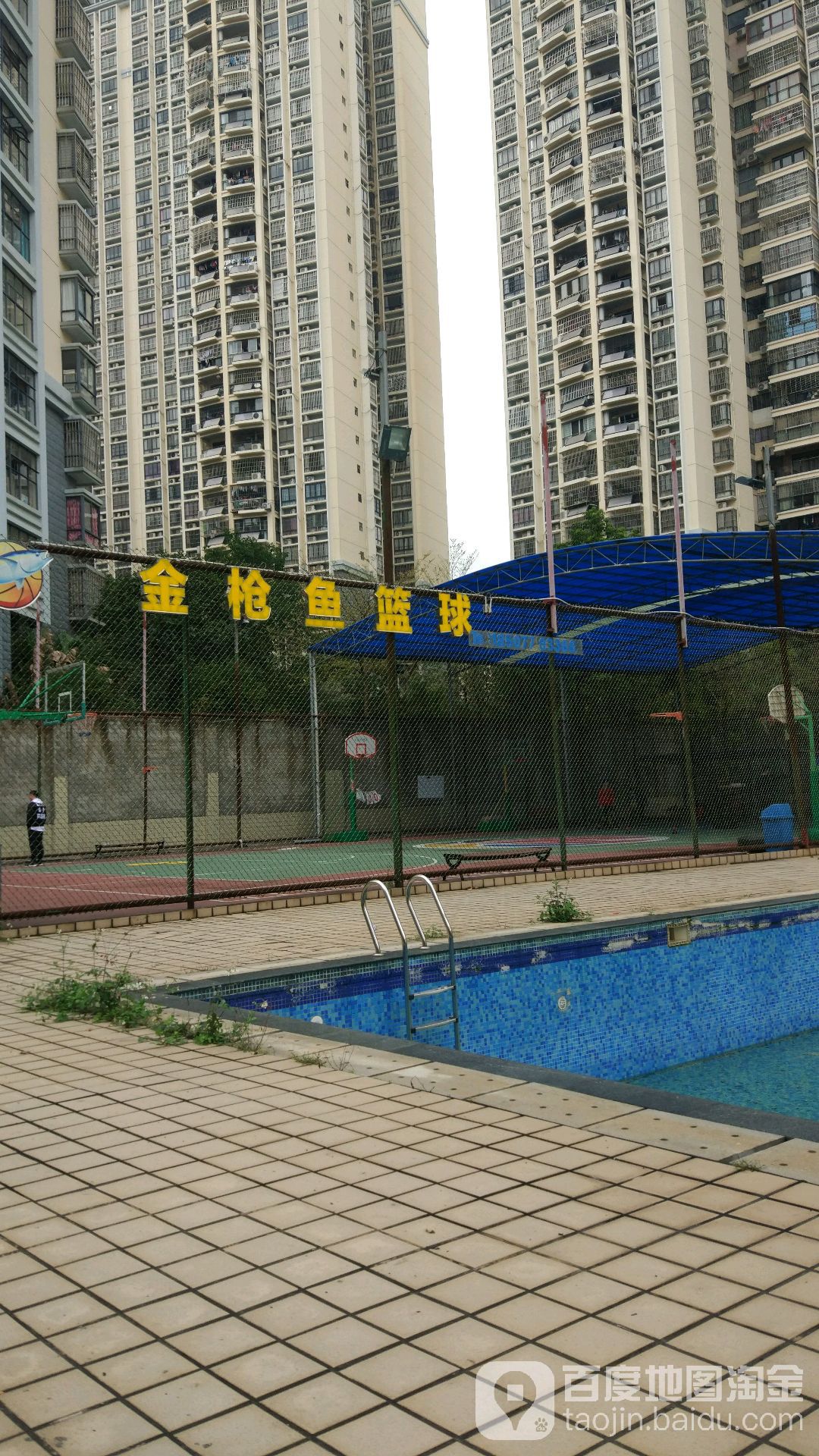 金枪鱼篮球俱乐部