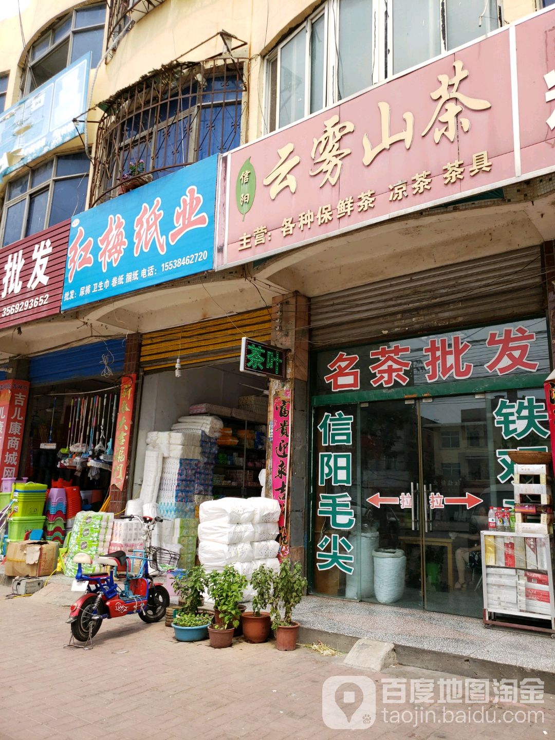 信阳云雾山茶