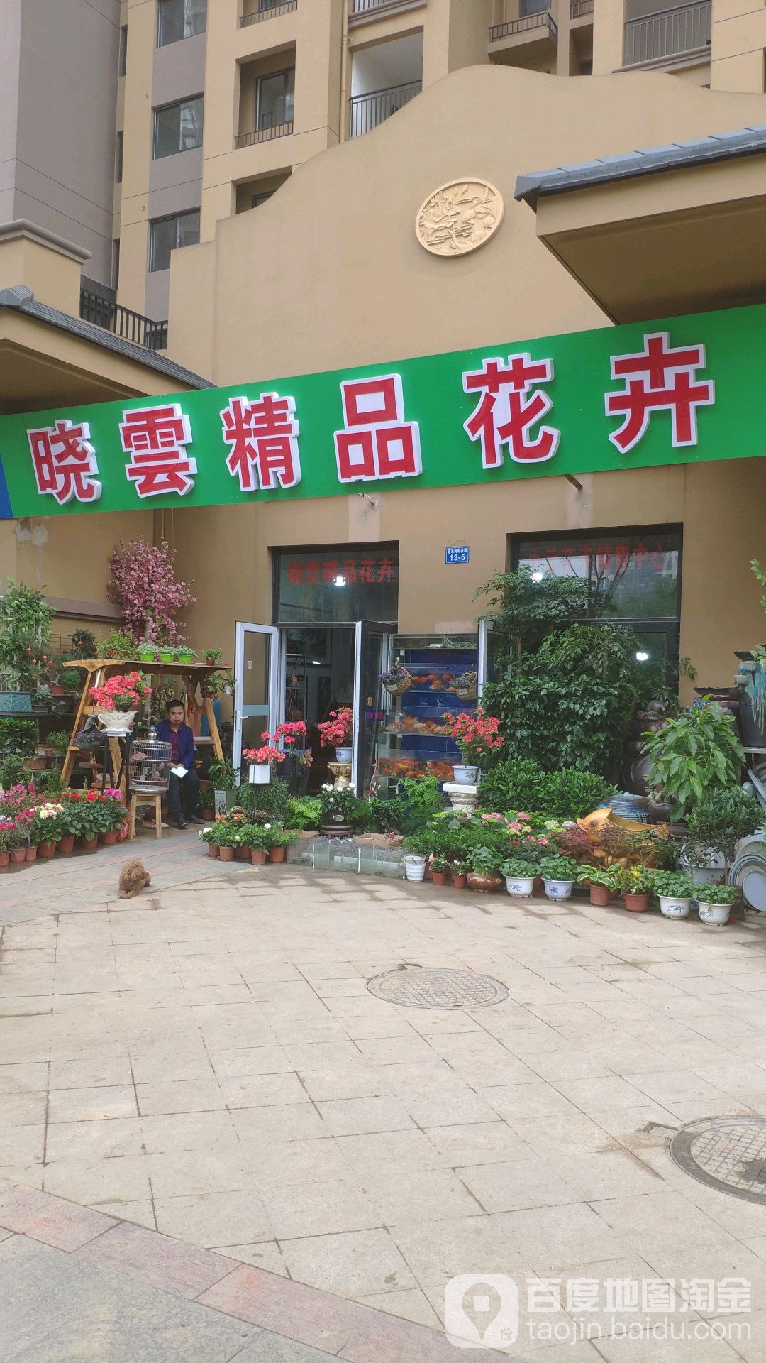 晓云精品花卉
