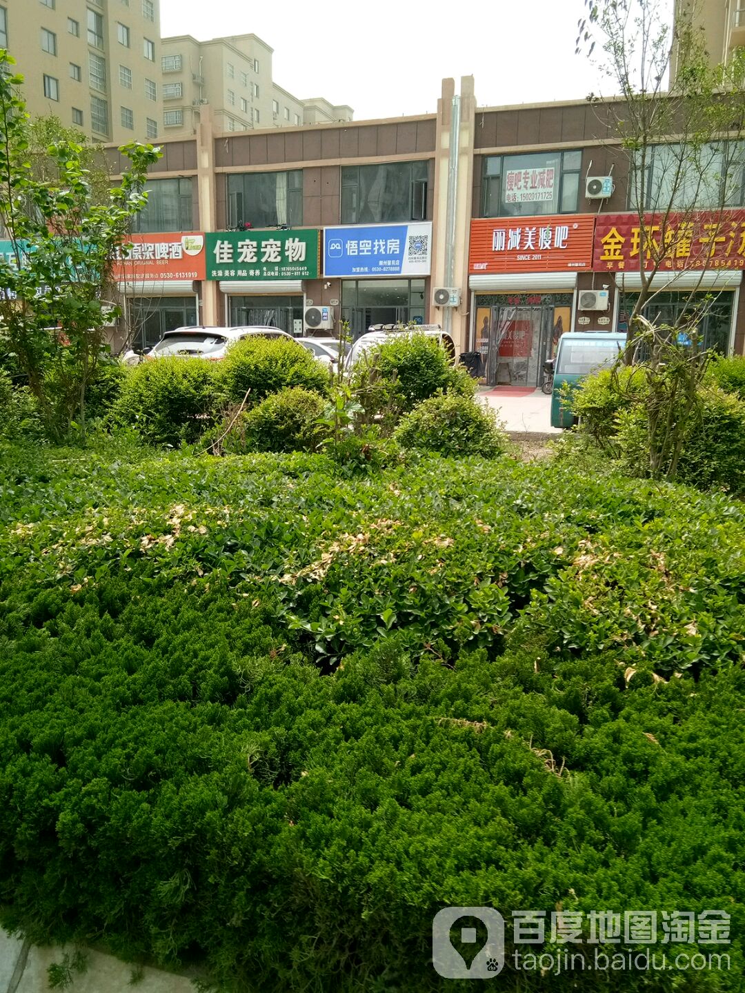 佳宠宠物(麟州馨苑店)