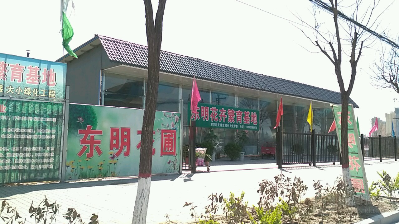 东明花卉零售批发