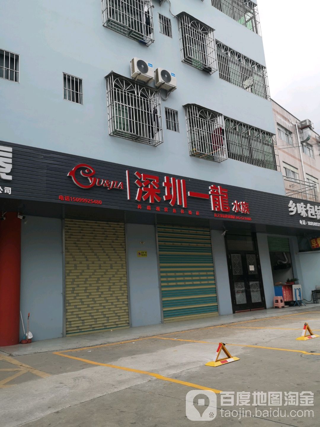 深圳一龙水族