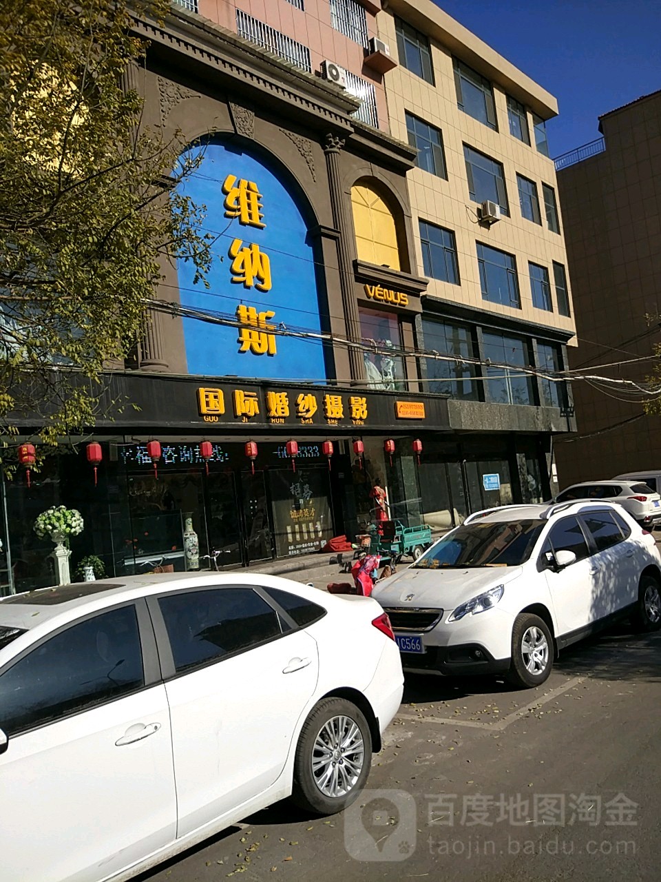 维纳斯(北海大道店)