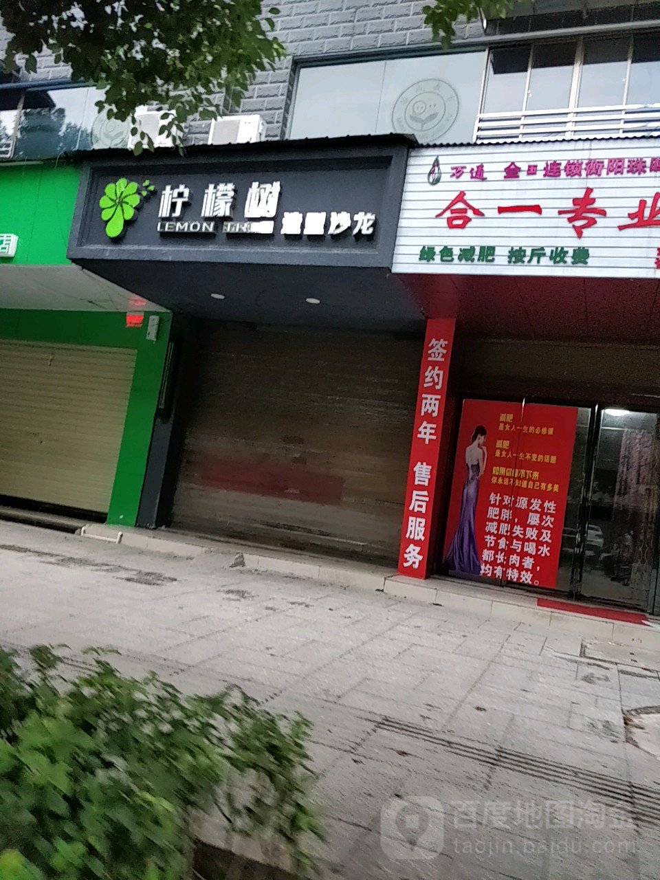 柠檬树造型沙龙h