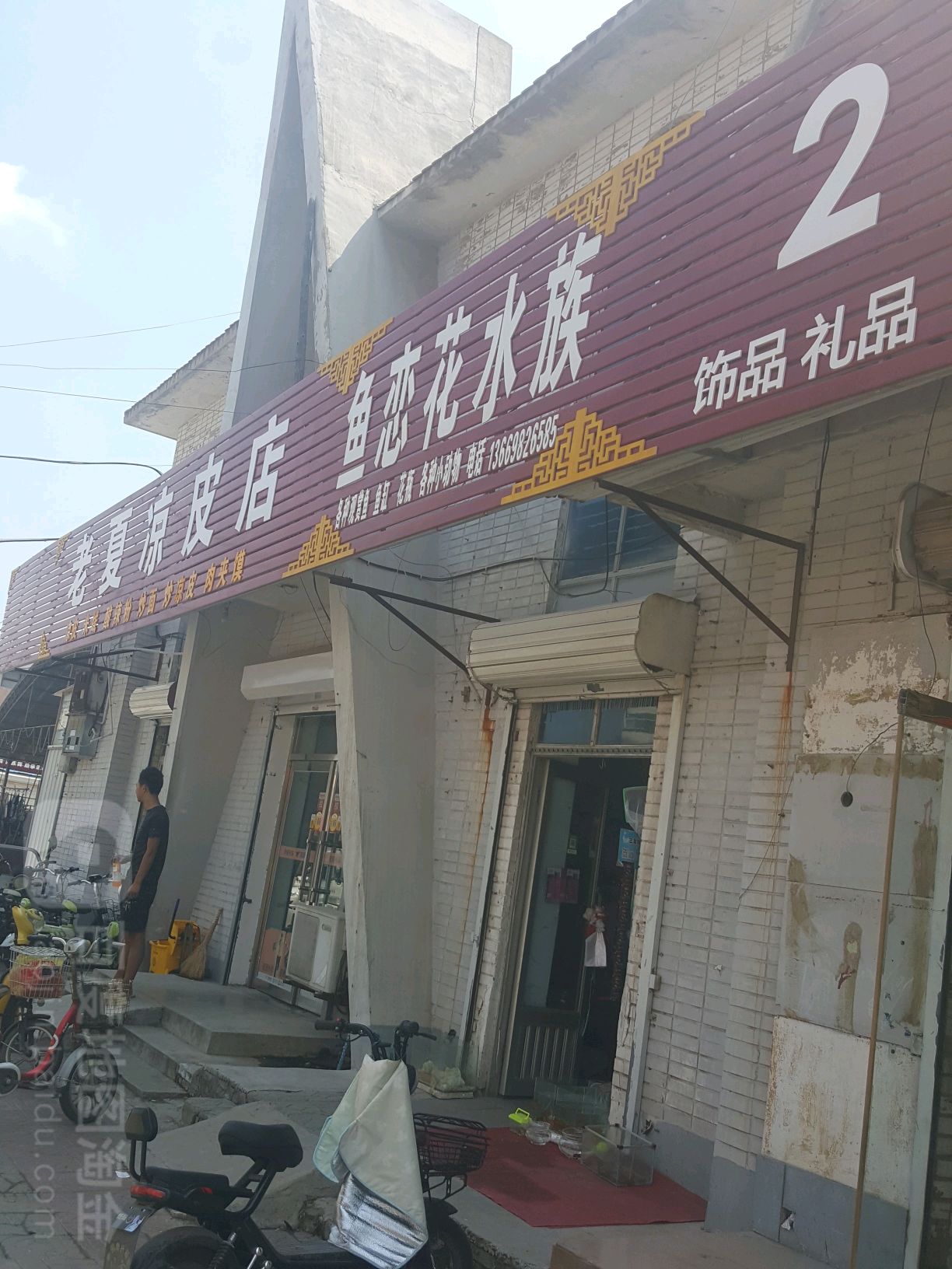 鱼恋幼儿水族