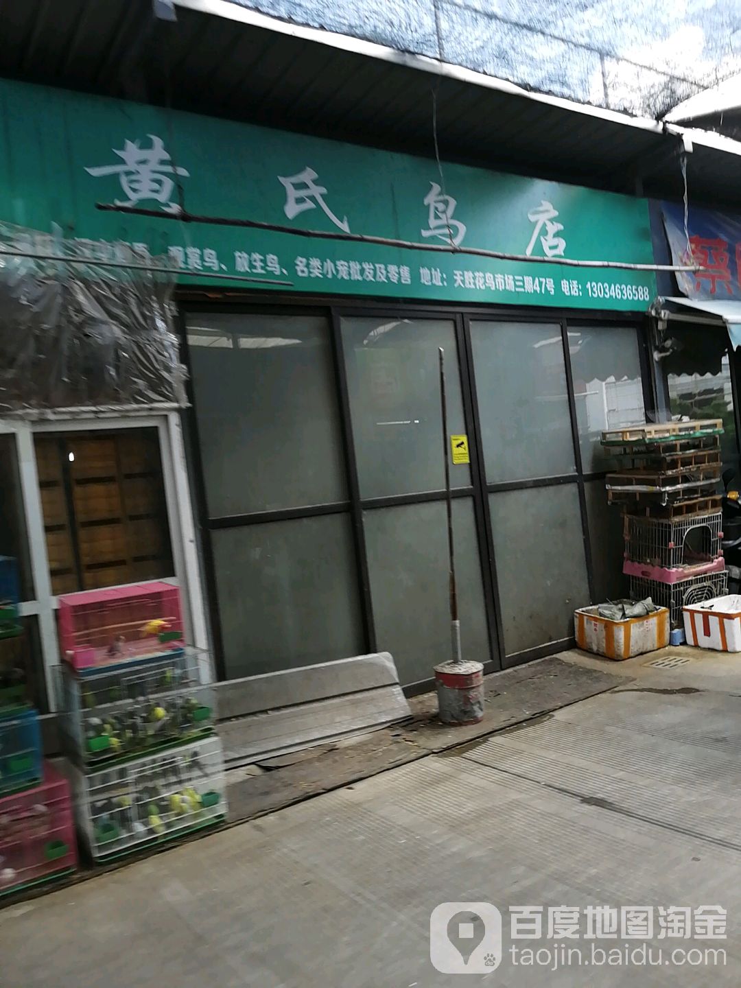 黄氏鸟店