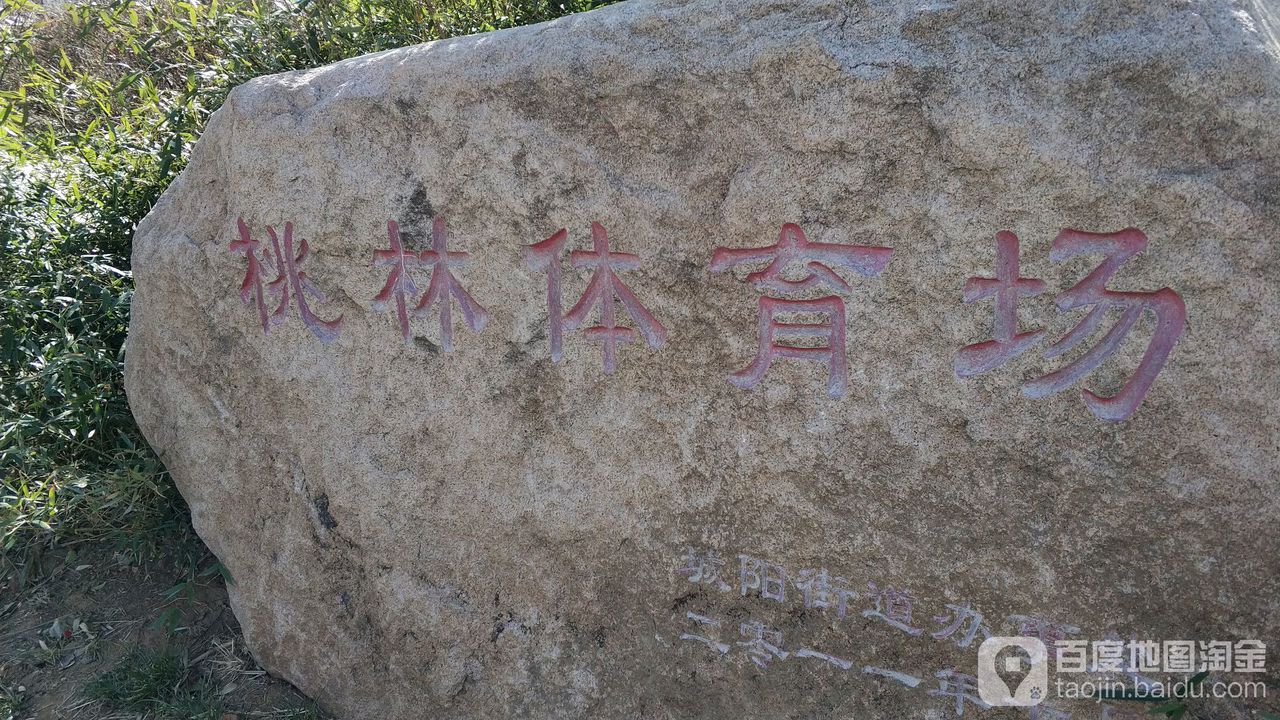 桃林体育场