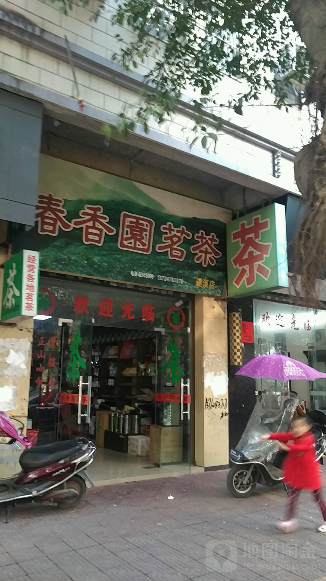 春香园茗茶(遂溪店)