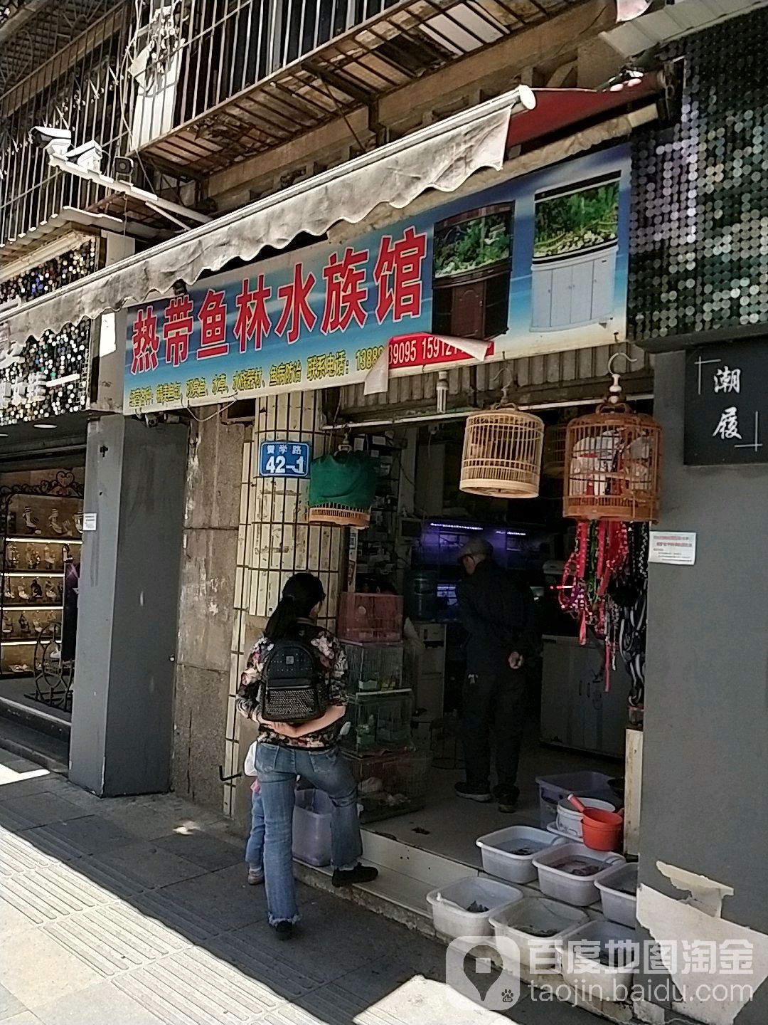 热带雨林水族管