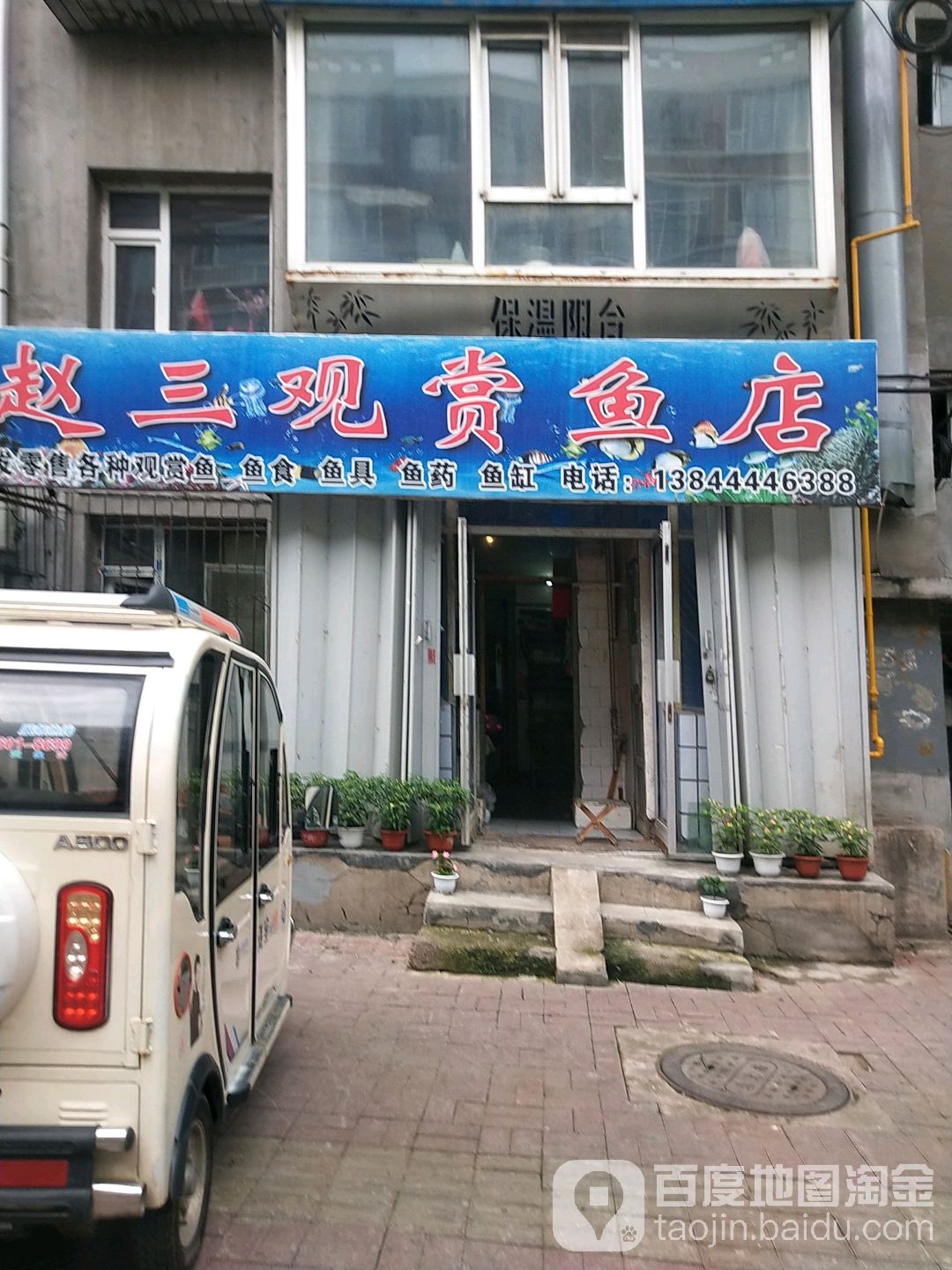 赵三观赏鱼店