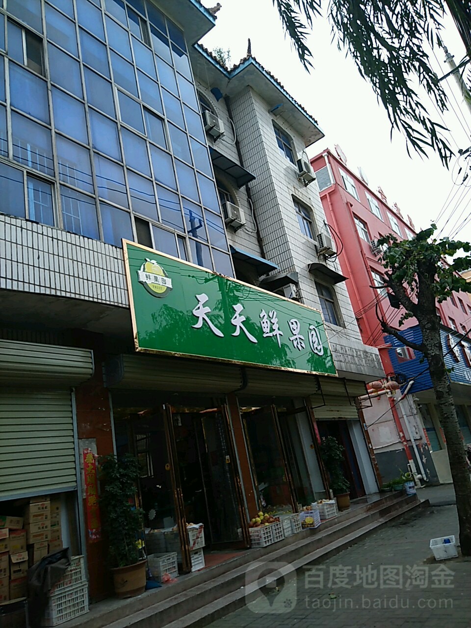 西平县天天鲜果园(棠溪大道店)