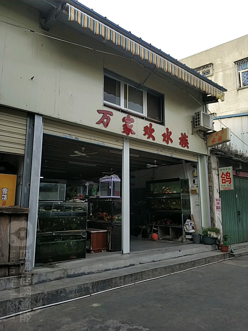 万家欢水景