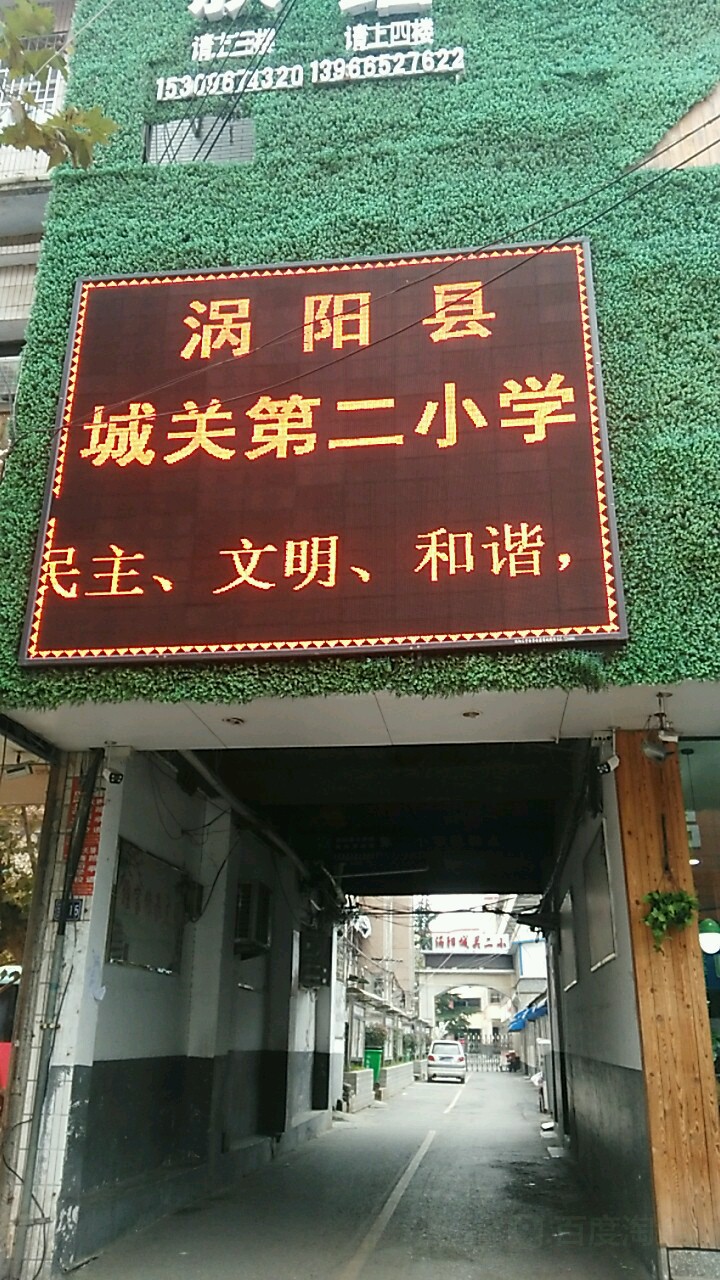 安徽省亳州市涡阳县向阳路55号