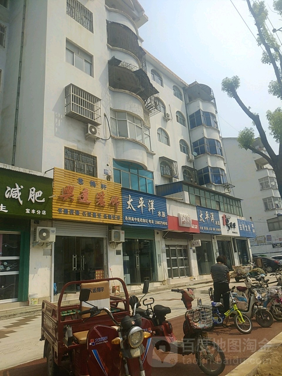 西太平洋水族