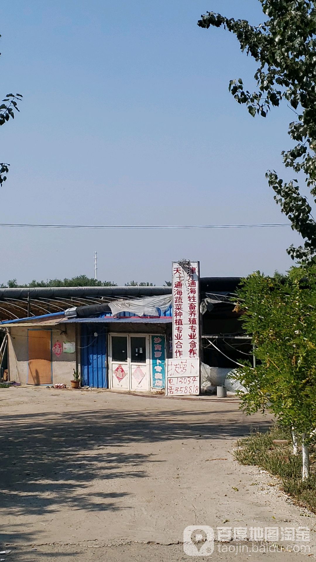 通海蔬菜种植专业合作社额
