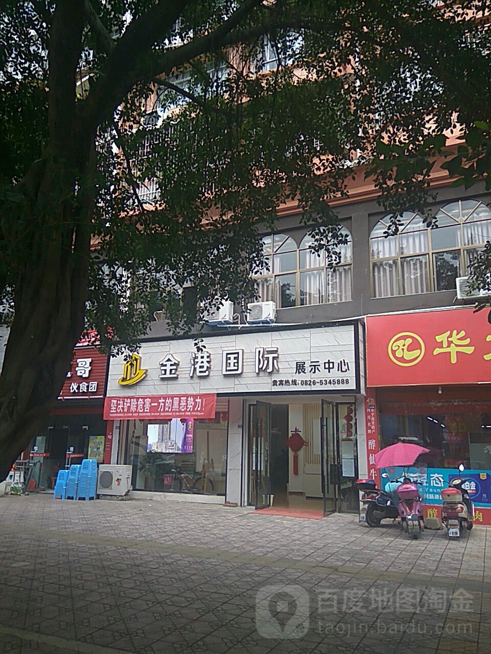 金港国际展示中新