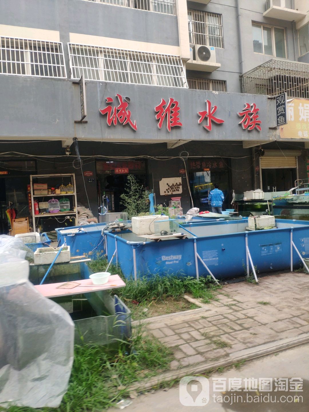 诚维水族(同汇花园店)