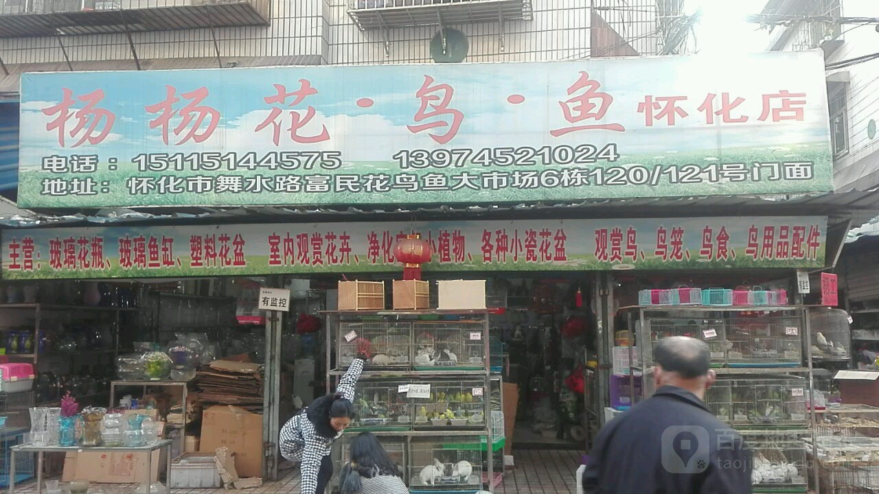 杨杨花鸟鱼(怀化店)
