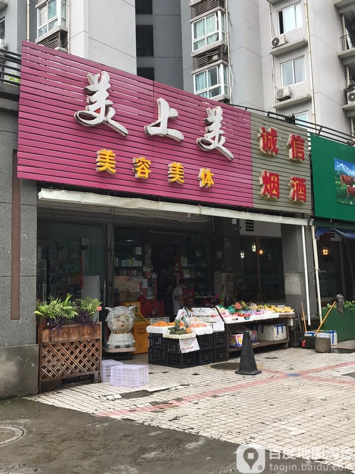 美上美美容美体