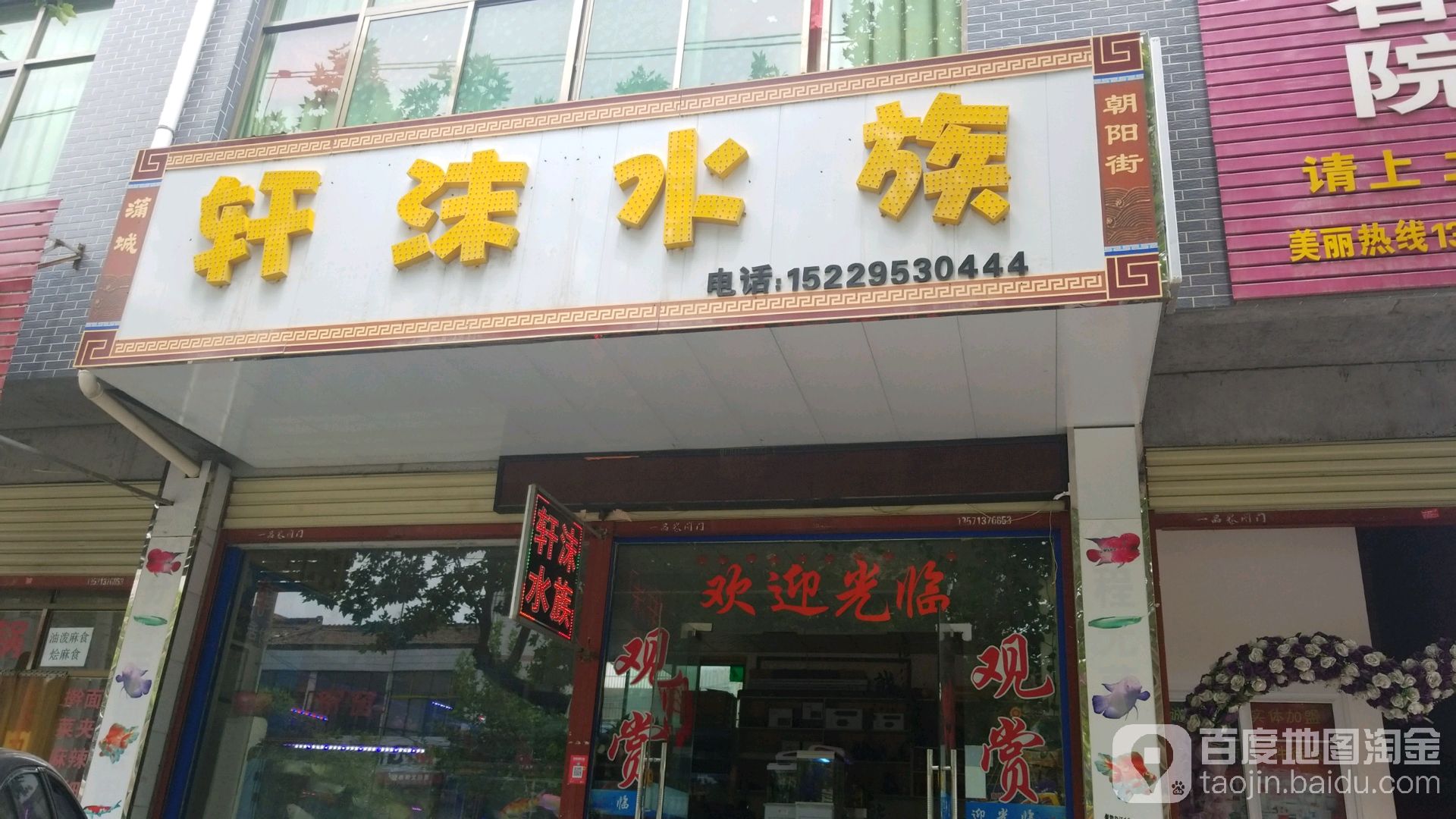 轩沫水族