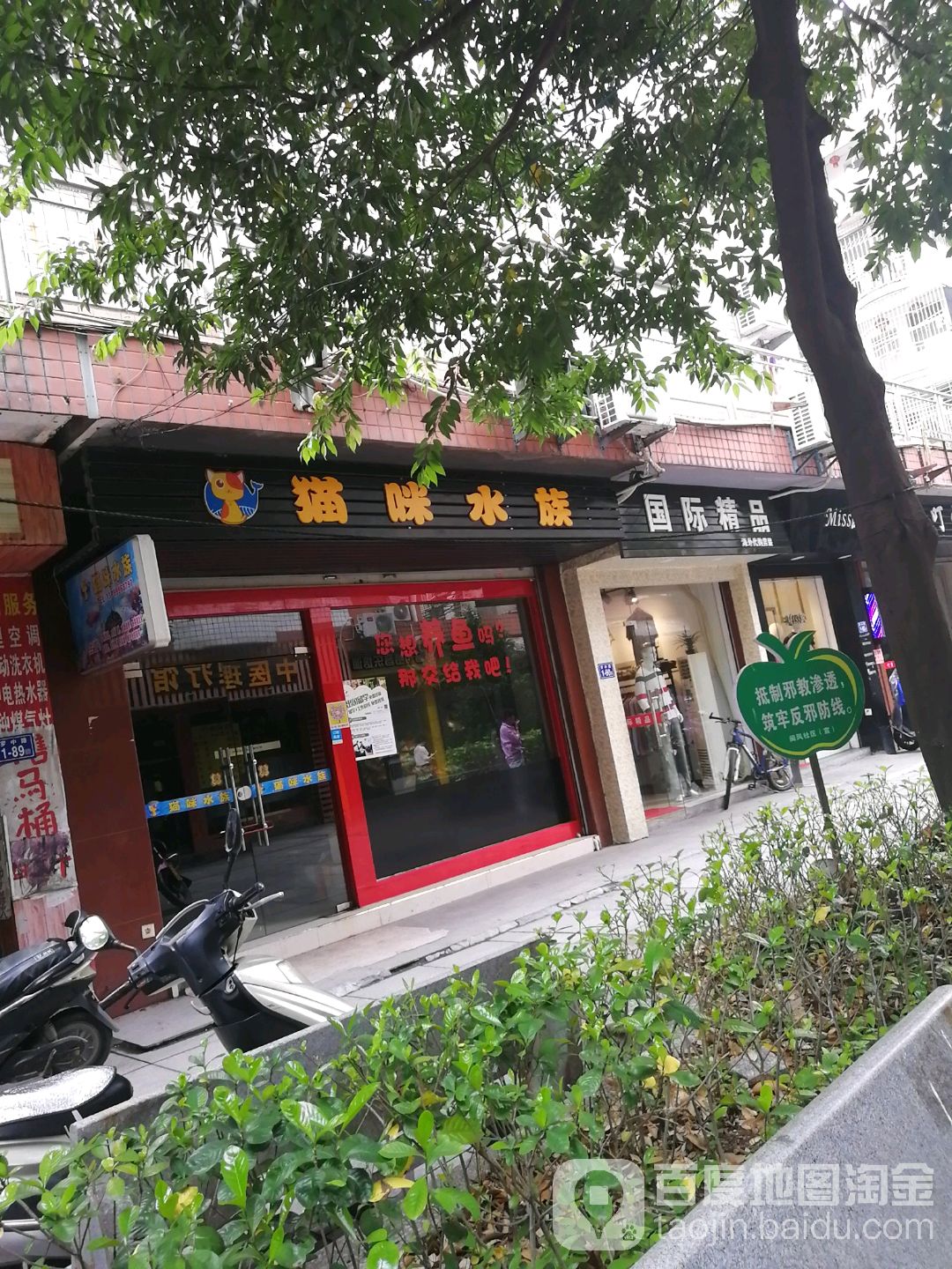 猫咪水族(闽星花园店)