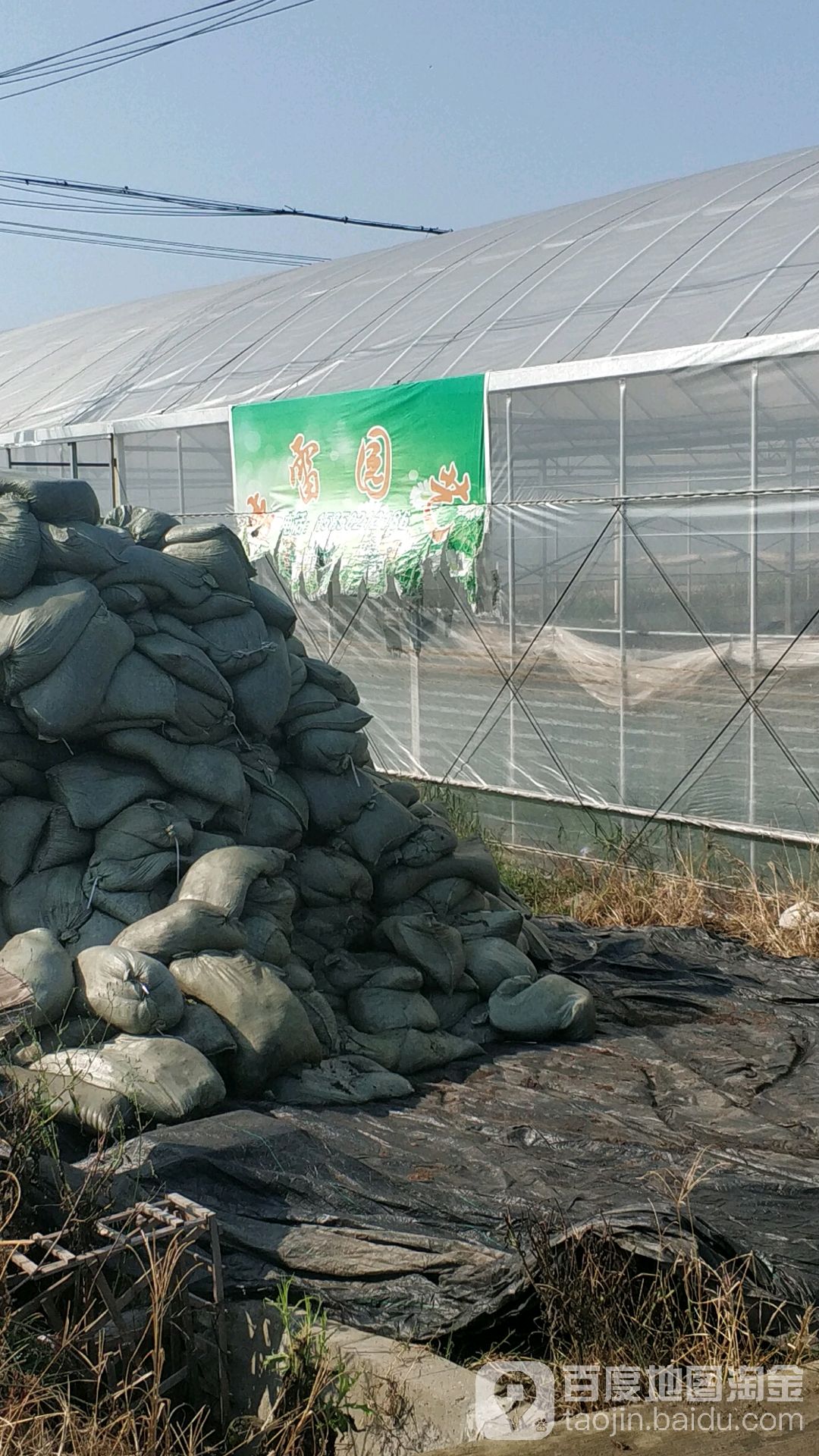 李雷园艺嘉善种植类基地