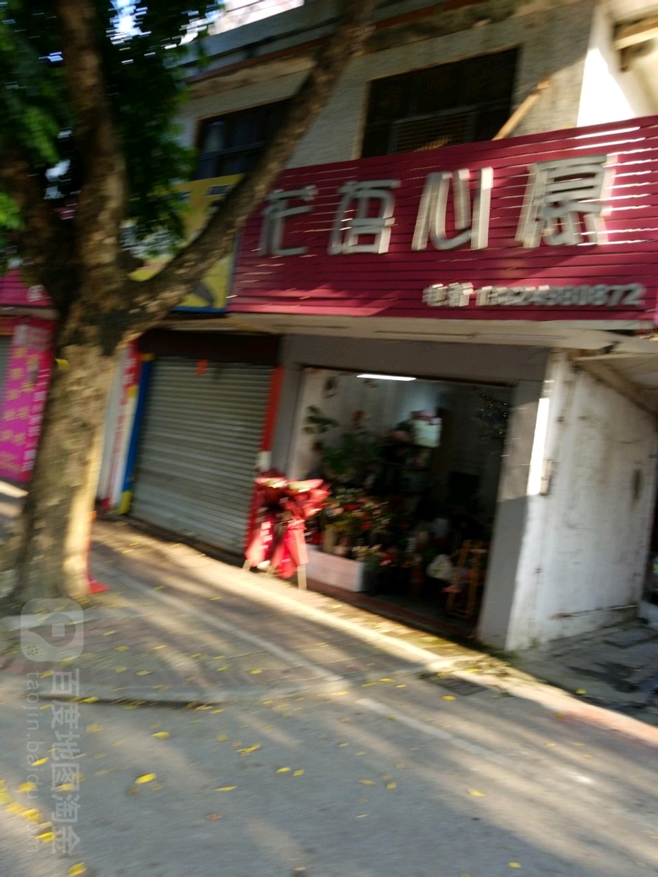 花语心愿(东风二路店)