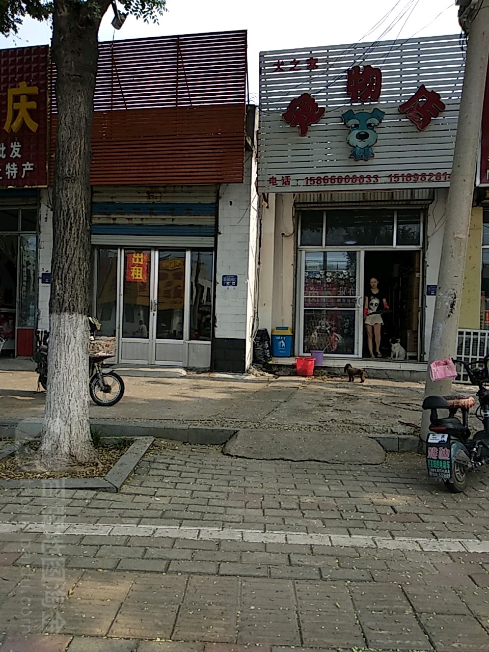 犬之家宠物店