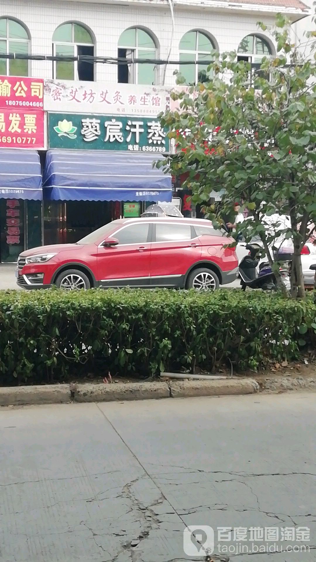 蓼宸汗蒸