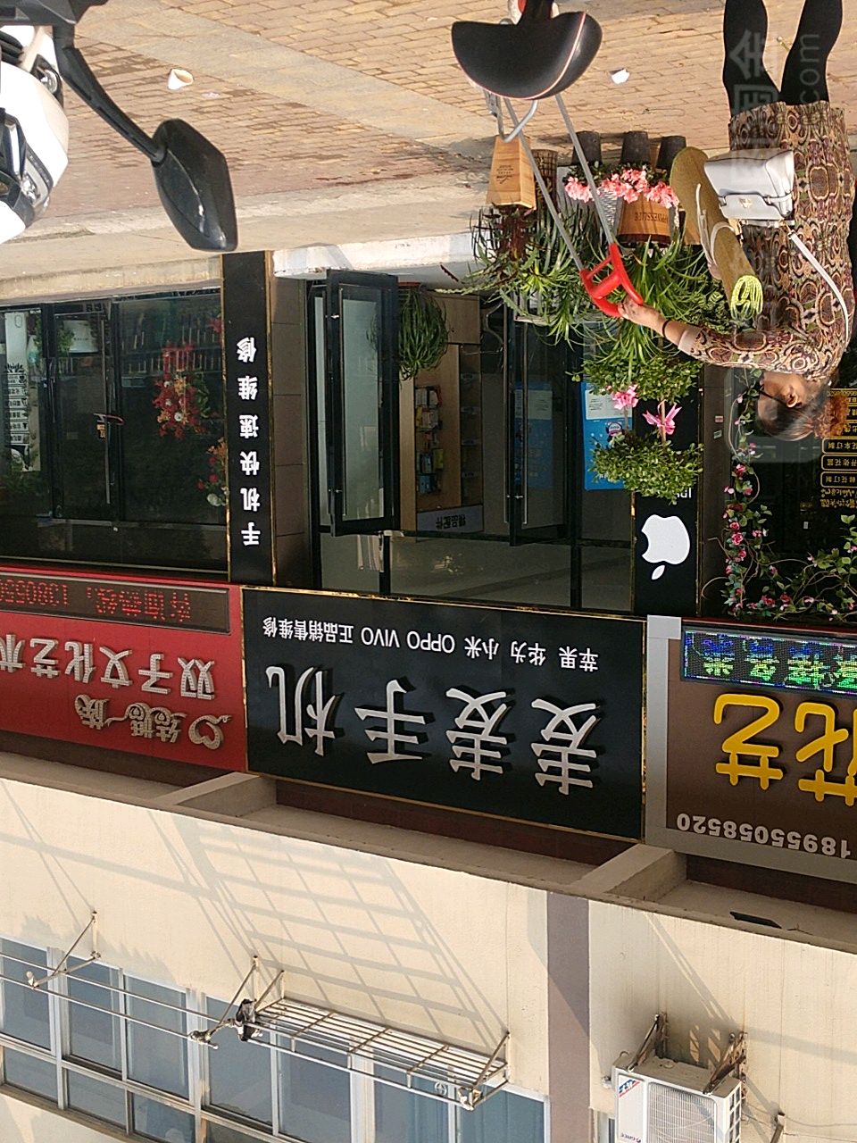 麦麦手机