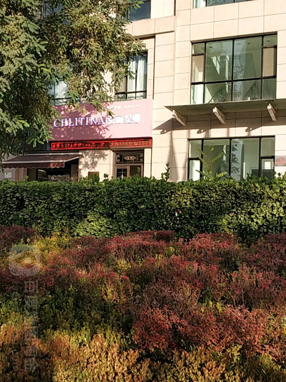 克丽缇娜(陇能家园店)