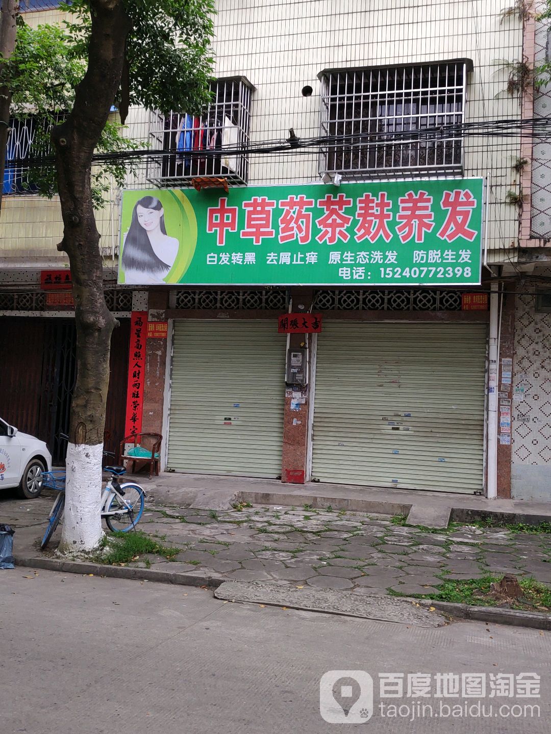 中草药茶麸养发