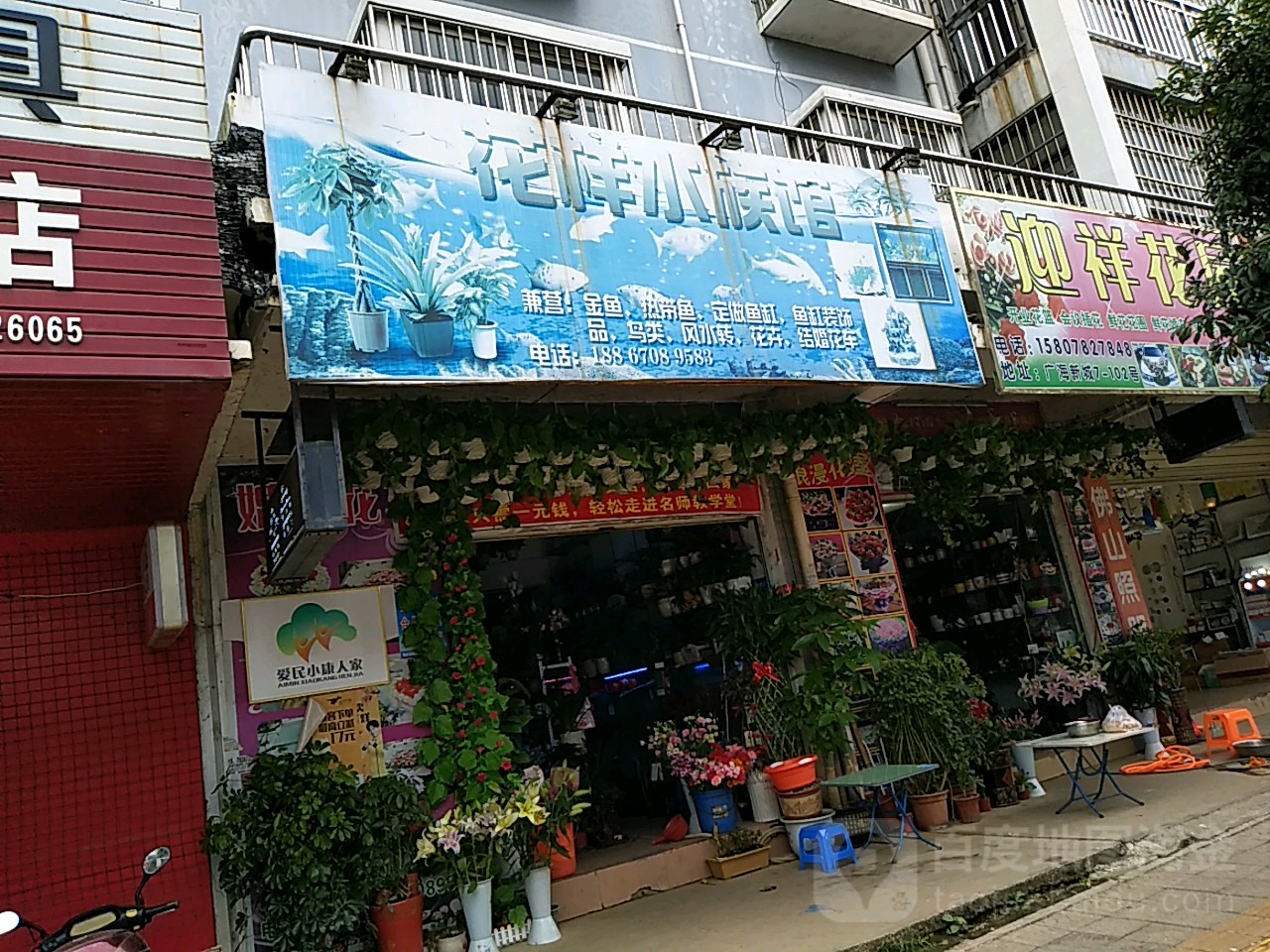 花样水族鲜花店(融水县分店)