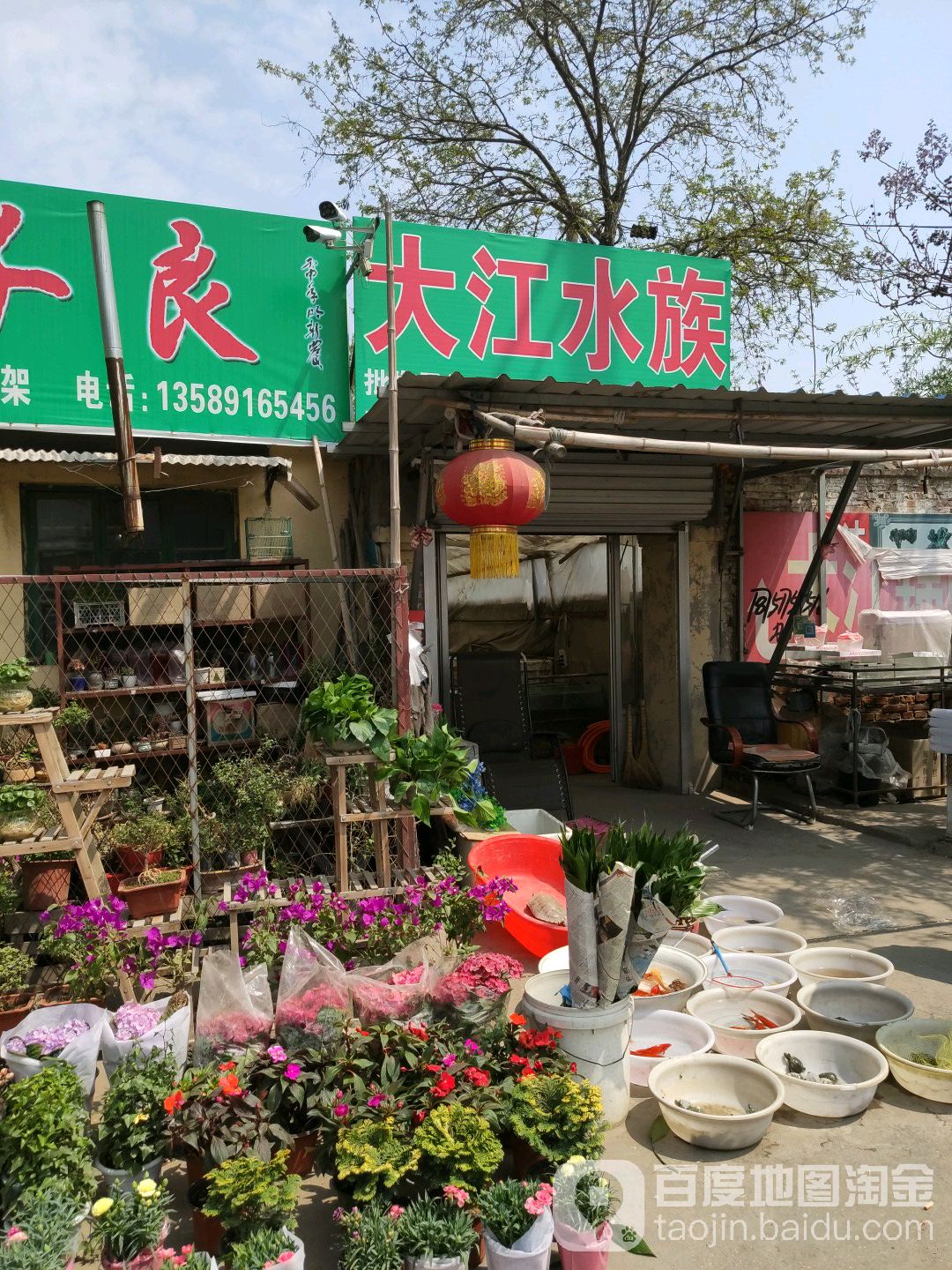 大江水祖