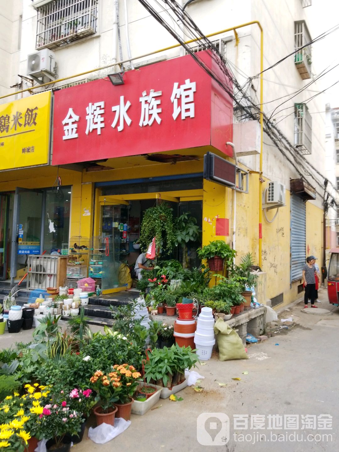 金辉水族馆(明德美食街店)