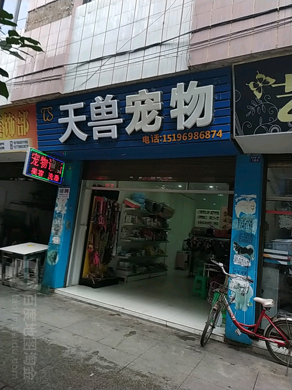 天兽宠物