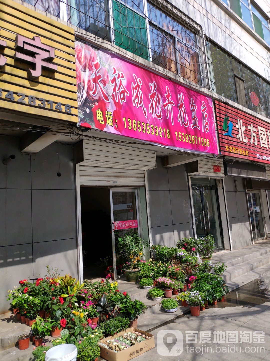 天裕成花卉花盆店