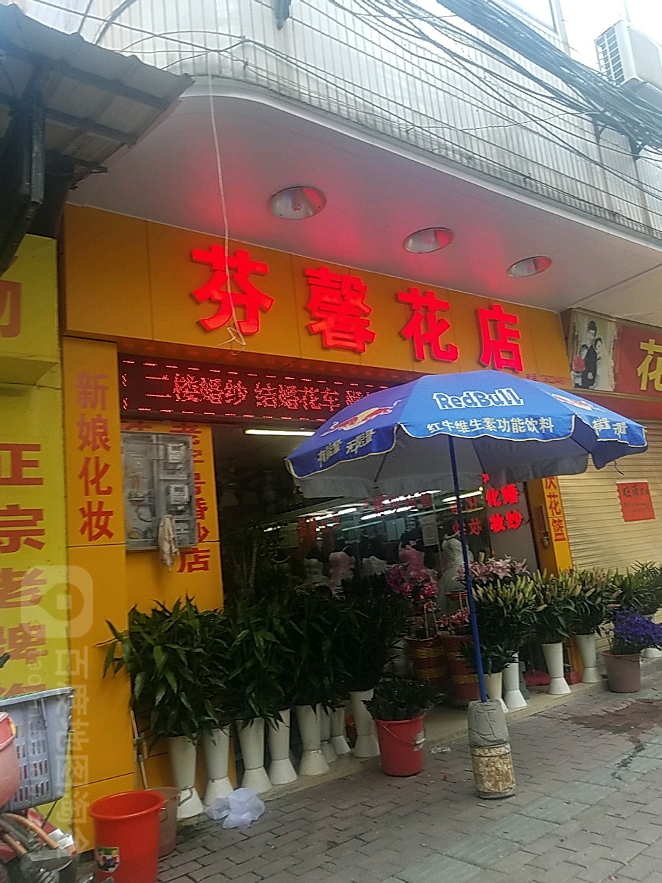 芬馨花店