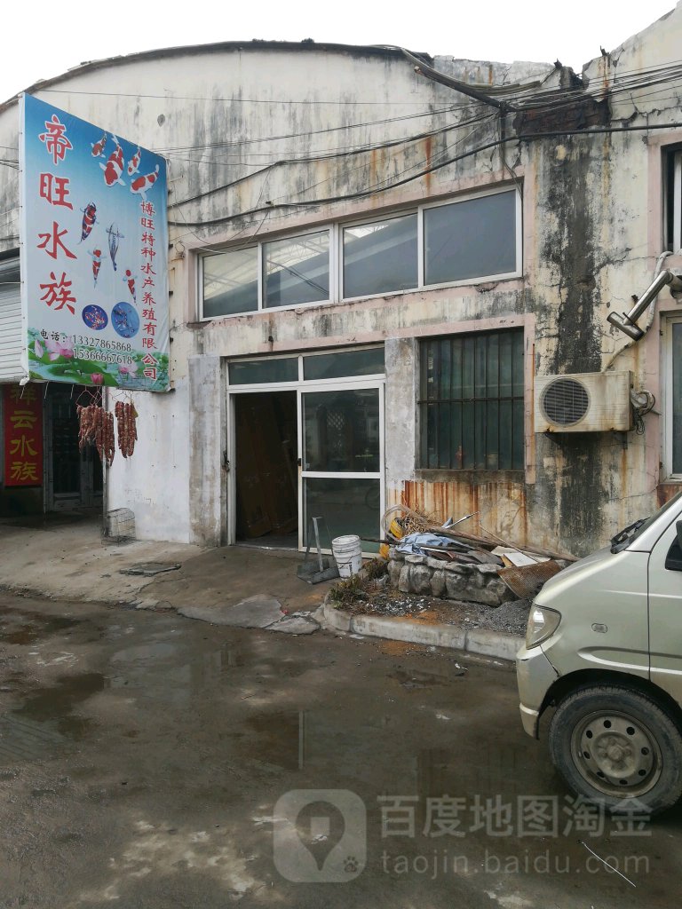 帝望水族