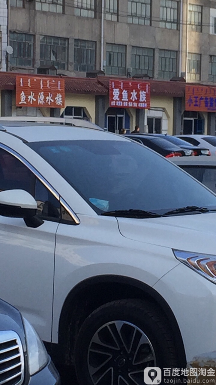 爱雨水族